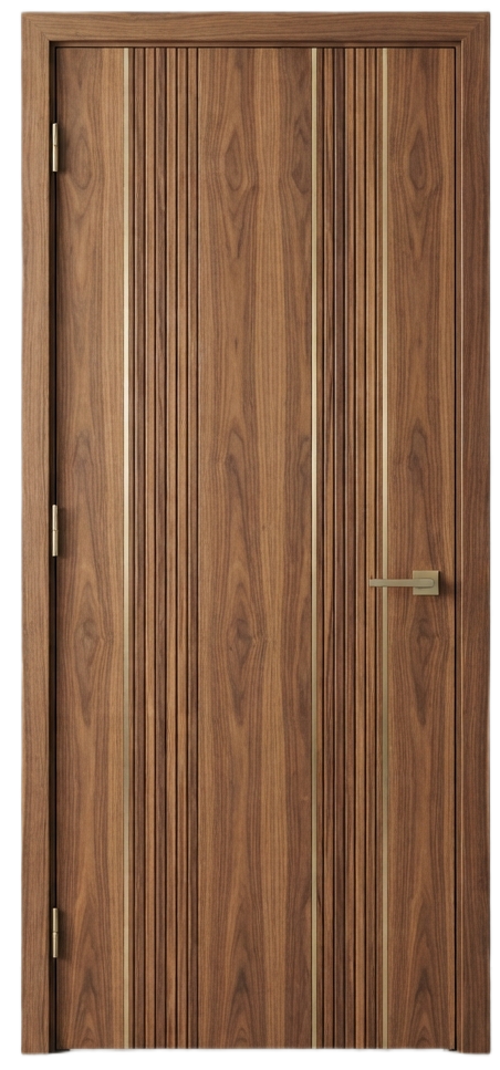 Modern Designer Door