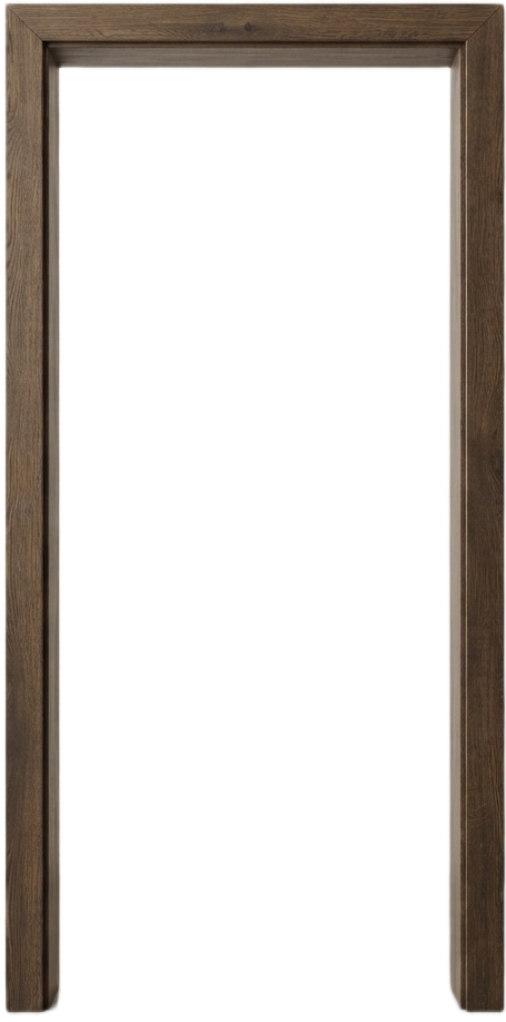 Modern Laminated Door
